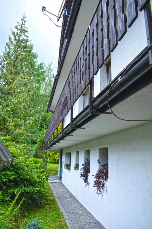Willa Popielica Zakopane Extérieur photo
